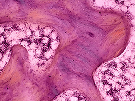 a close-up of a pink and purple substance