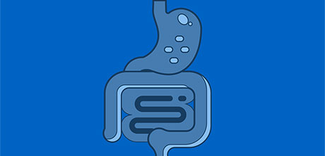 a blue drawing of a person’s stomach