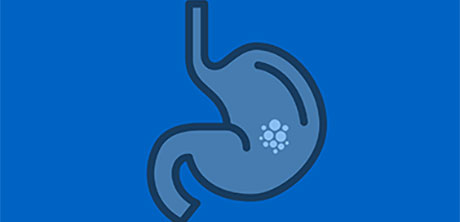 a blue and black outline of a stomach