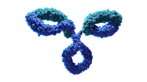 blue and blue spheres